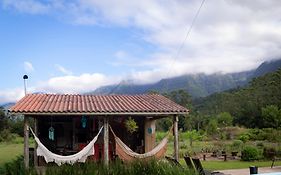 Figueira do Rio do Boi